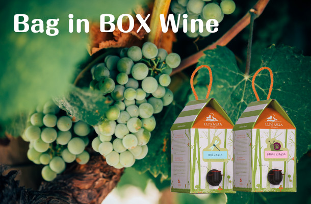 2171円 品質のいい 送料無料 フランジア ワインタップ 白 1ケース 3000ml×4 バッグインボックス カリフォルニア 白ワイン 箱ワイン 包装不可